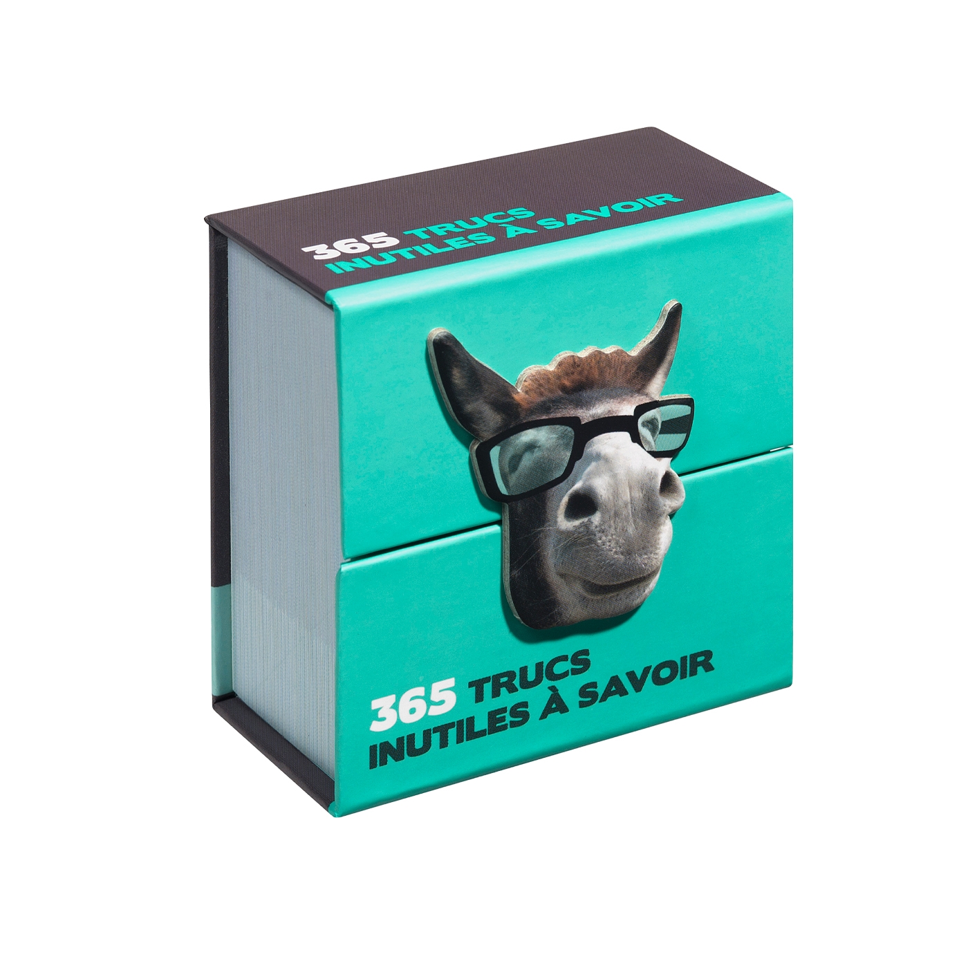 Mini calendrier – 365 trucs inutiles à savoir