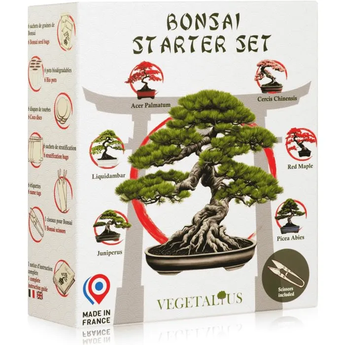 VEGETALIUS – Kit complet de 6 bonsaïs